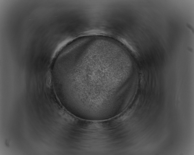 X0000093151358200710171341