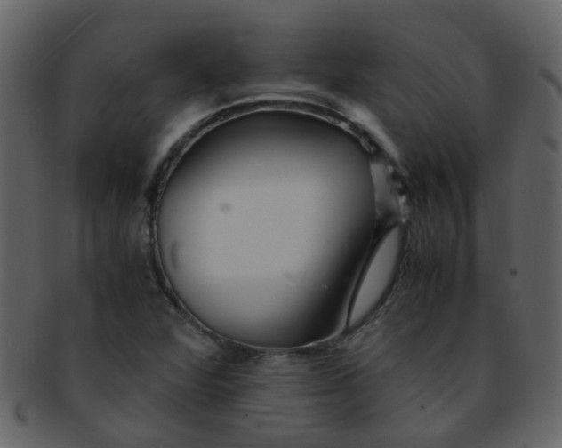 X0000093151360200710171341