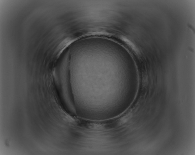 X0000093151361200710171341