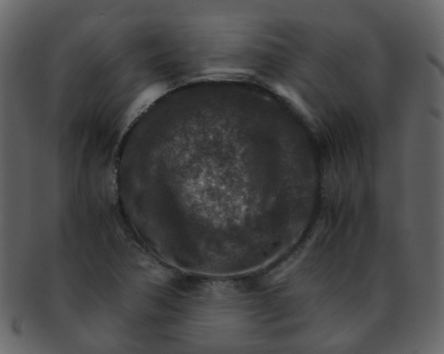 X0000093151362200710171341