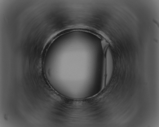 X0000093151364200710171341