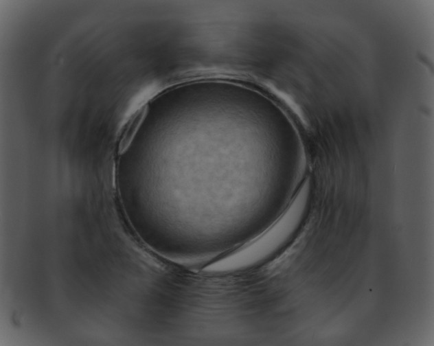 X0000093151365200710171341