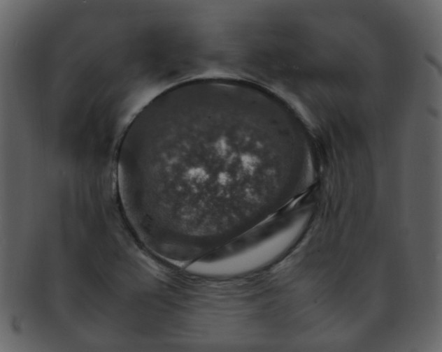 X0000093151367200710171341