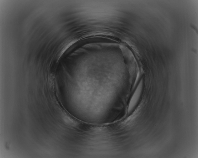 X0000093151369200710171341