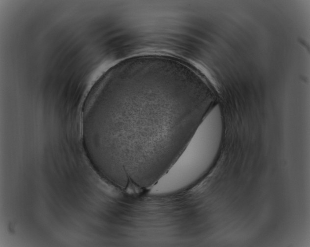 X0000093151371200710171341