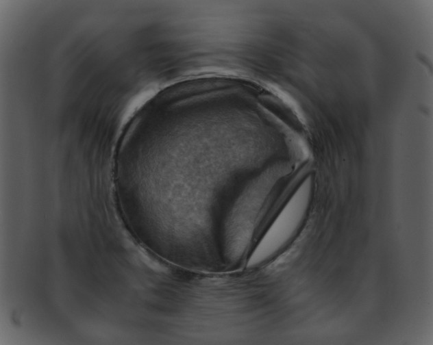 X0000093151373200710171341