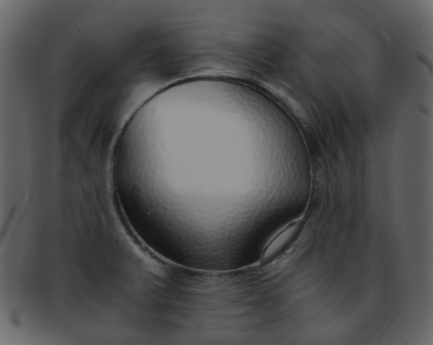 X0000093151375200710171341