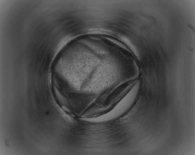 X0000093151376200710171341