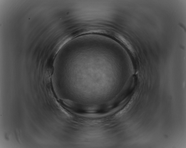 X0000093151377200710171341