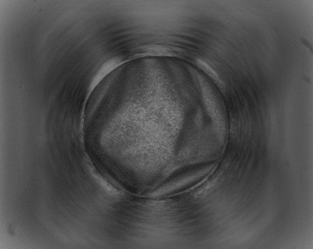 X0000093151378200710171341