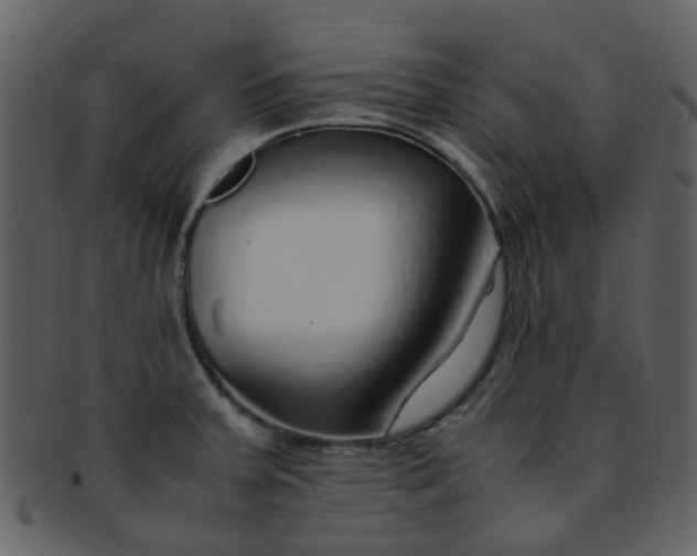 X0000093151379200710171341