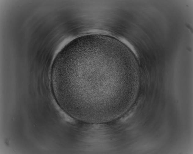 X0000093151381200710171341