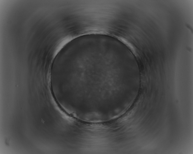 X0000093151383200710171341