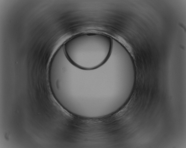 X0000093151384200710171341