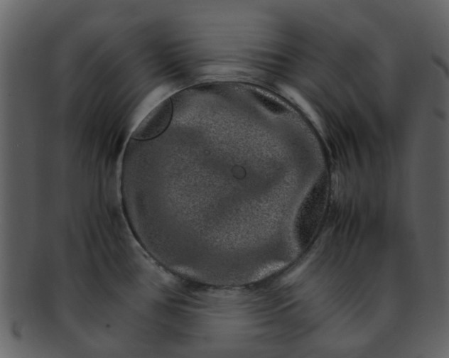 X0000093151386200710171341