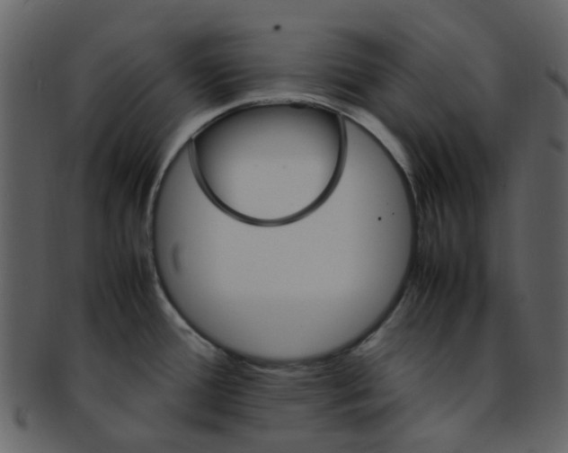 X0000093151388200710171341