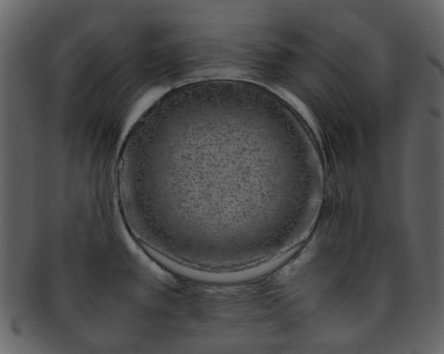 X0000093151389200710171341