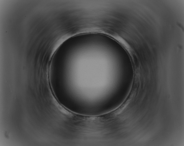 X0000093151390200710171341