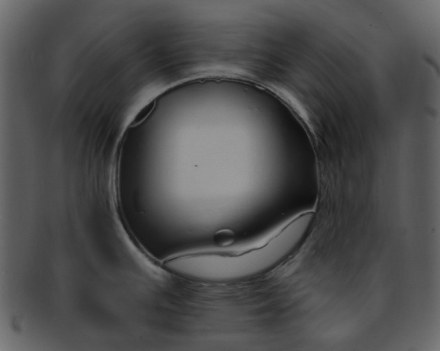 X0000093151391200710171341