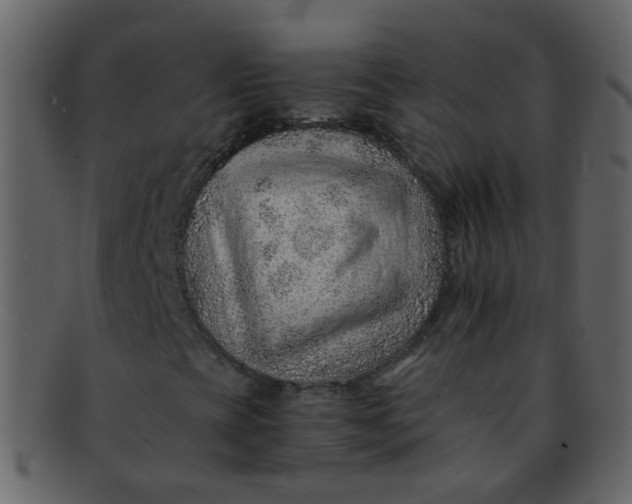 X0000093151393200710171340