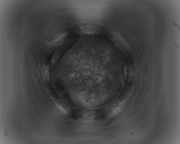 X0000093151394200710171340