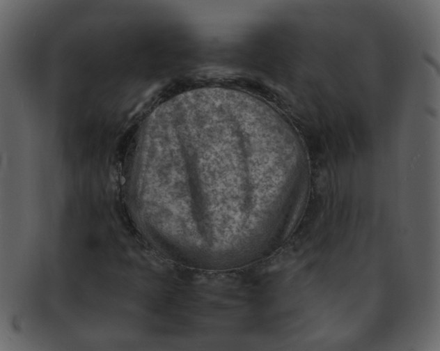 X0000093151397200710171340