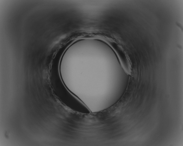 X0000093151398200710171340