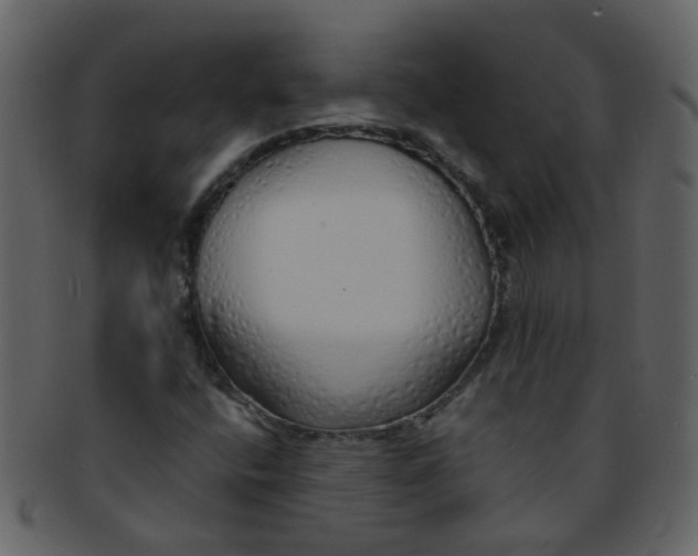 X0000093151400200710171340