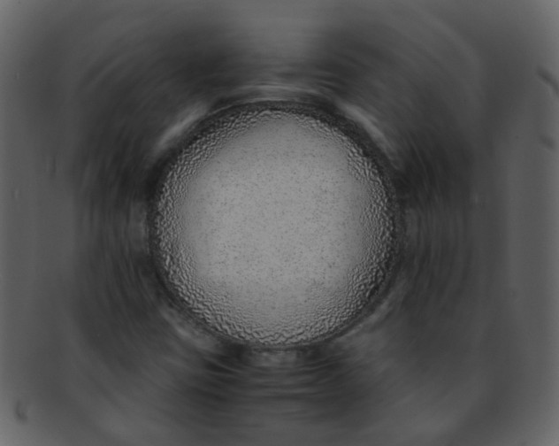 X0000093151403200710171340