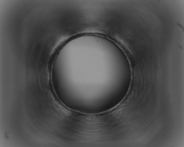 X0000093151408200710171340