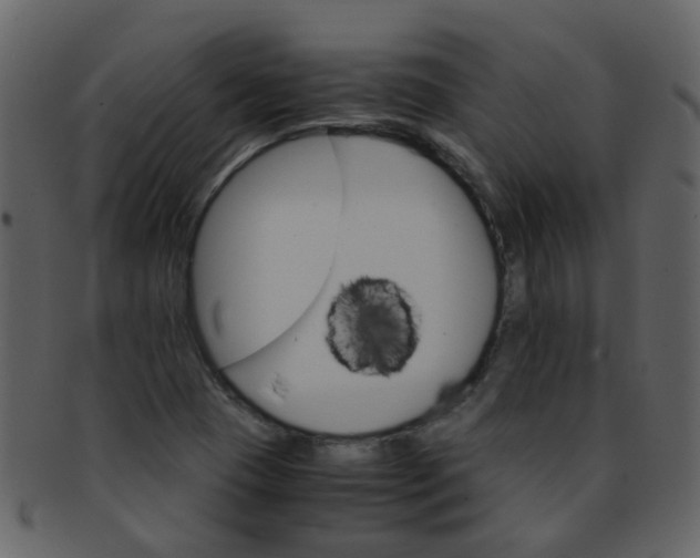 X0000093151409200710171340