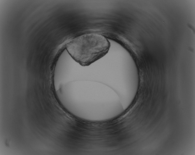 X0000093151411200710171341