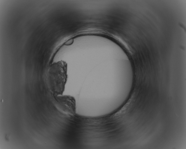 X0000093151413200710171341