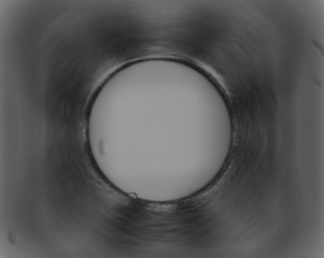 X0000093151415200710171341