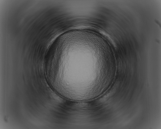 X0000093151417200710171341