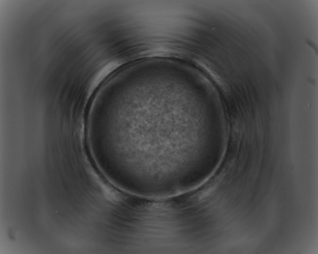 X0000093151418200710171341