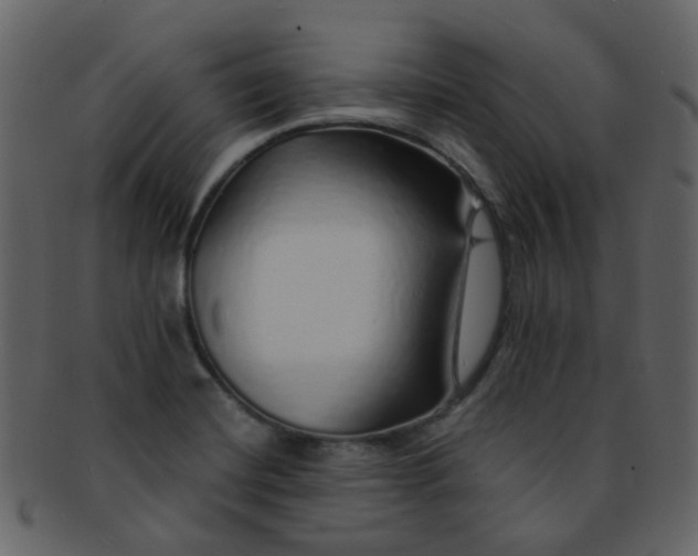 X0000093151420200710171341