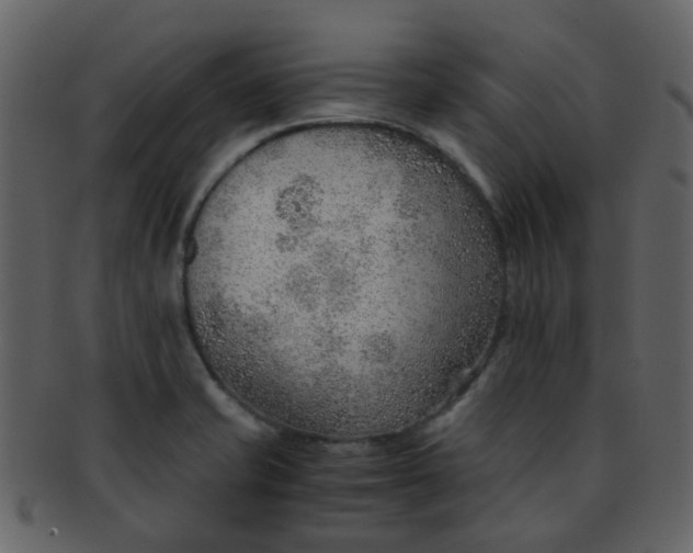 X0000093151421200710171341