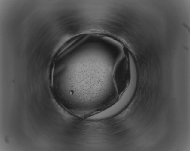 X0000093151422200710171341