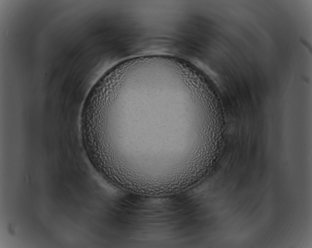 X0000093151423200710171341