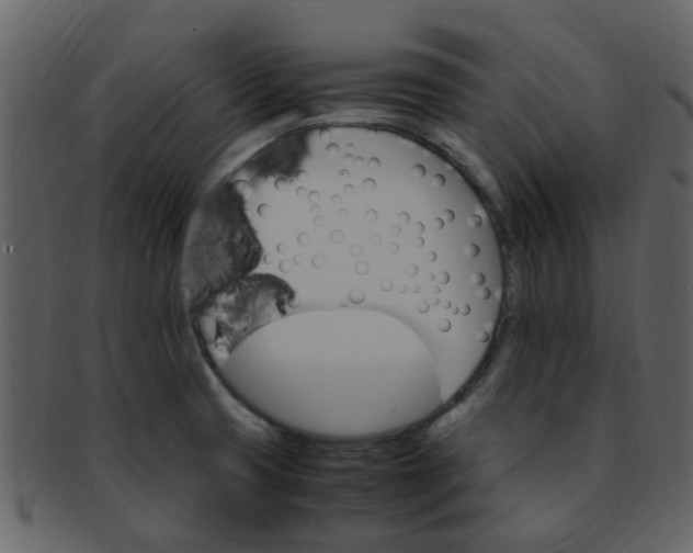 X0000093151425200710171341