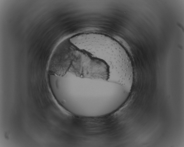 X0000093151429200710171341