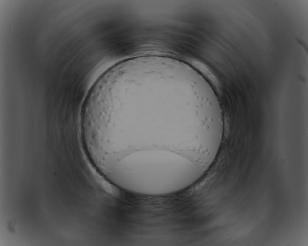 X0000093151431200710171341