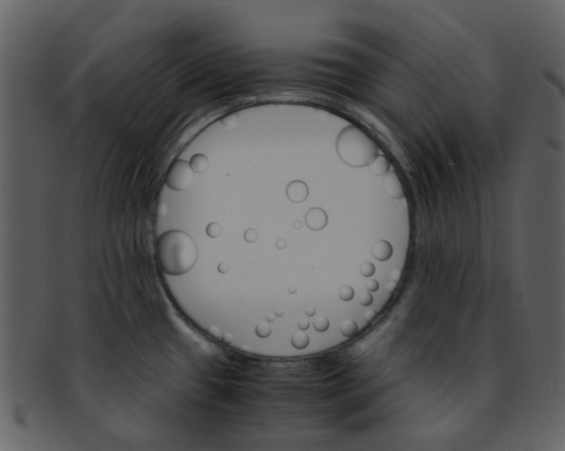 X0000093151433200710171341