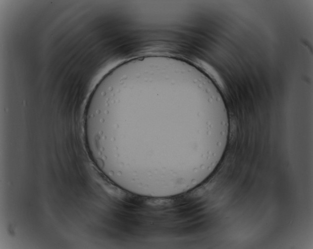 X0000093151435200710171341