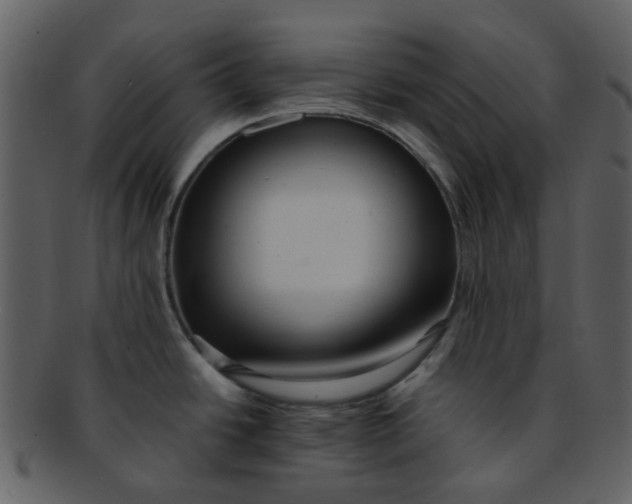 X0000093151438200710171341