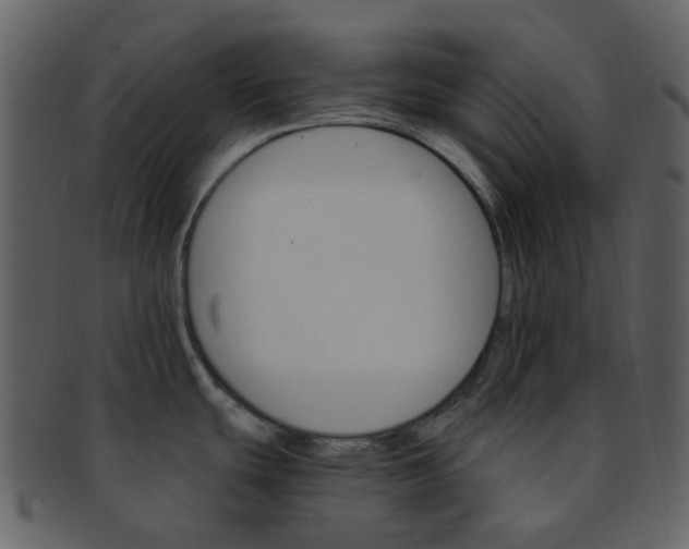 X0000093151439200710171341