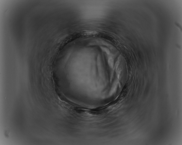 X0000093151441200710171340