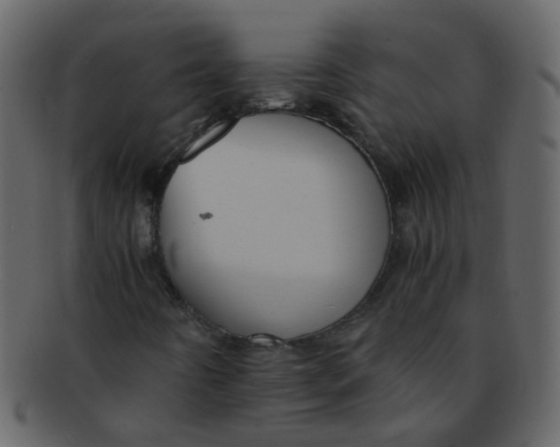 X0000093151442200710171340