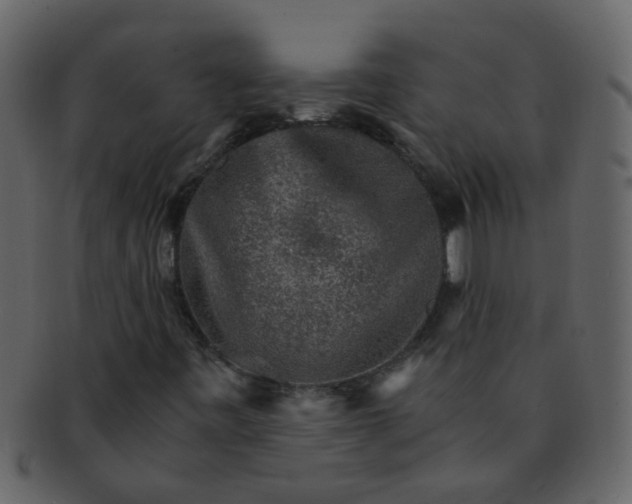 X0000093151443200710171340